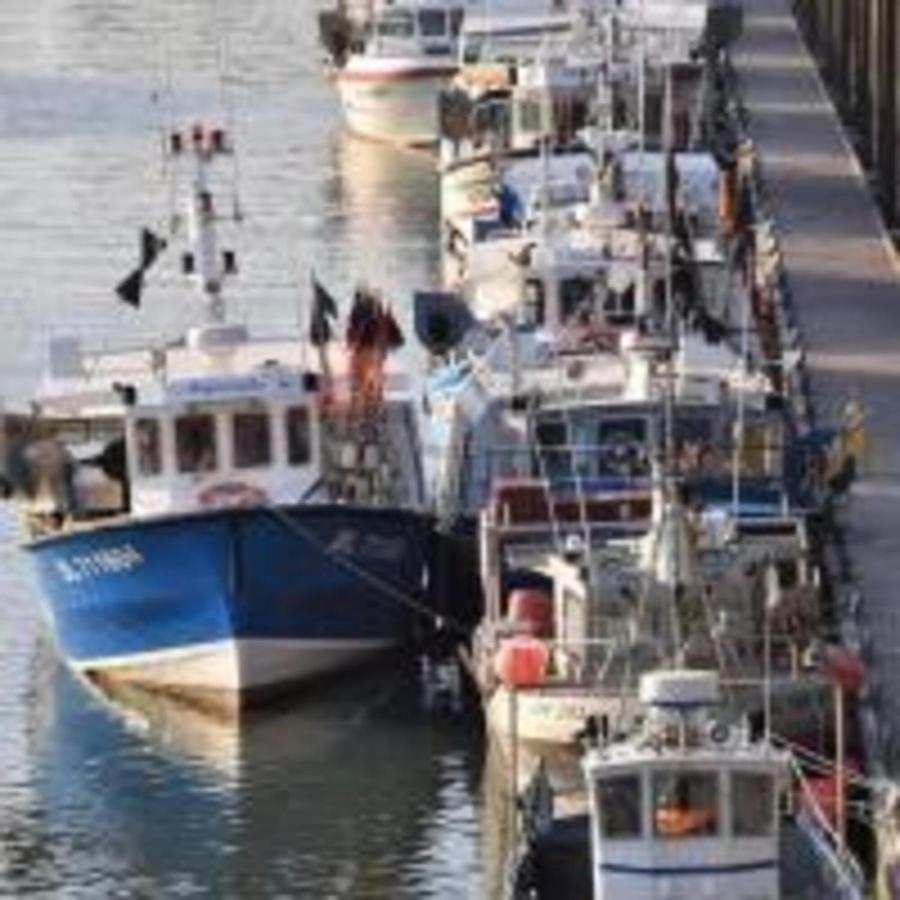 Meuble 4 Etoiles, A 2Mn De Nausicaa, Vue Sur Port Et Mer Boulogne-sur-Mer Exteriör bild